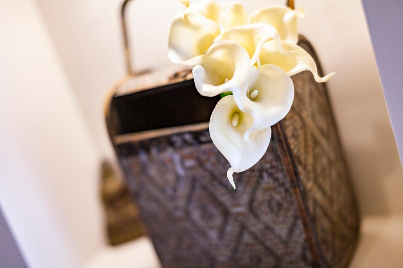 Angulo House Hotel ซังตามาเรีย ภายนอก รูปภาพ